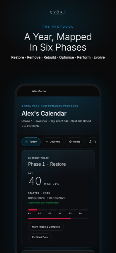 CYORA App, a year mapped in six phases
